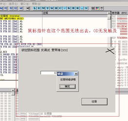 vb 共享软件防破解设计技术初探